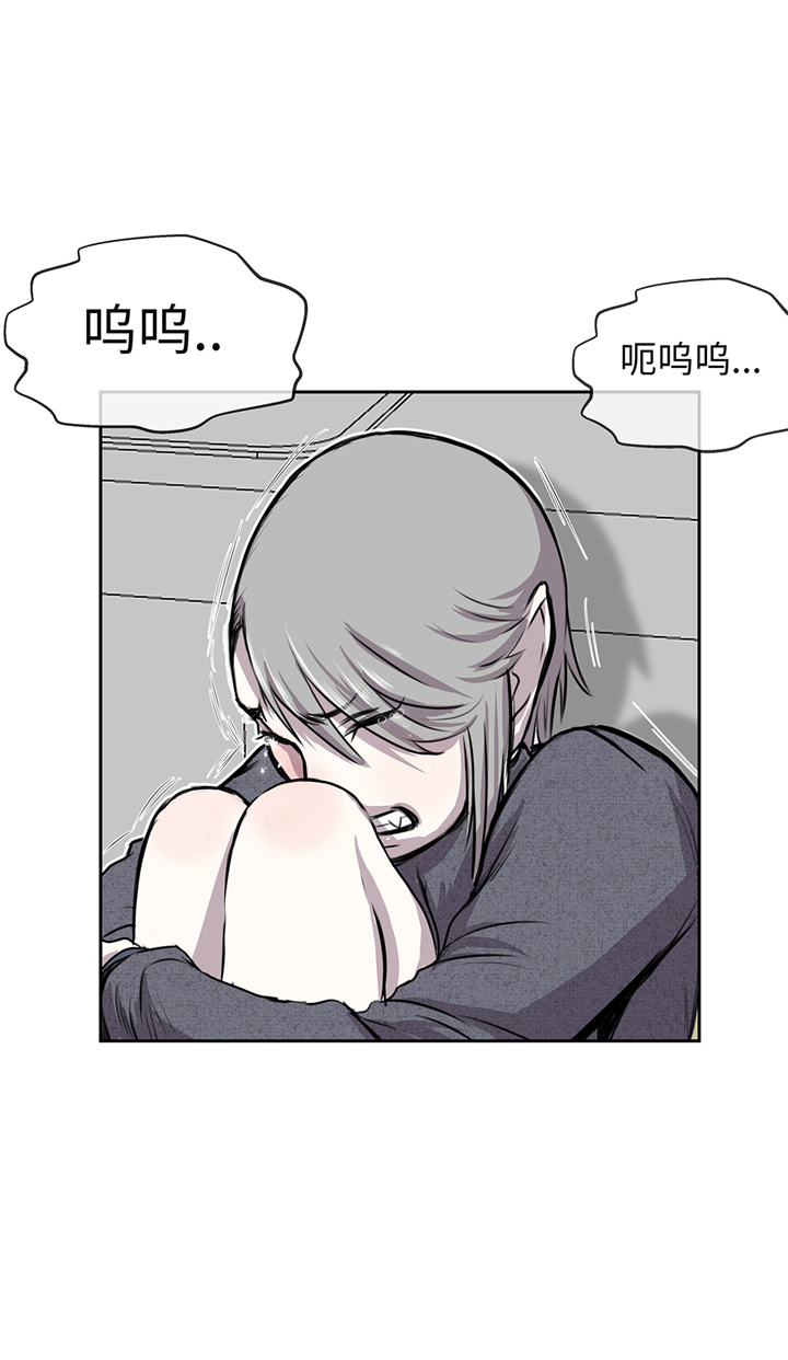 第66章：哭了30