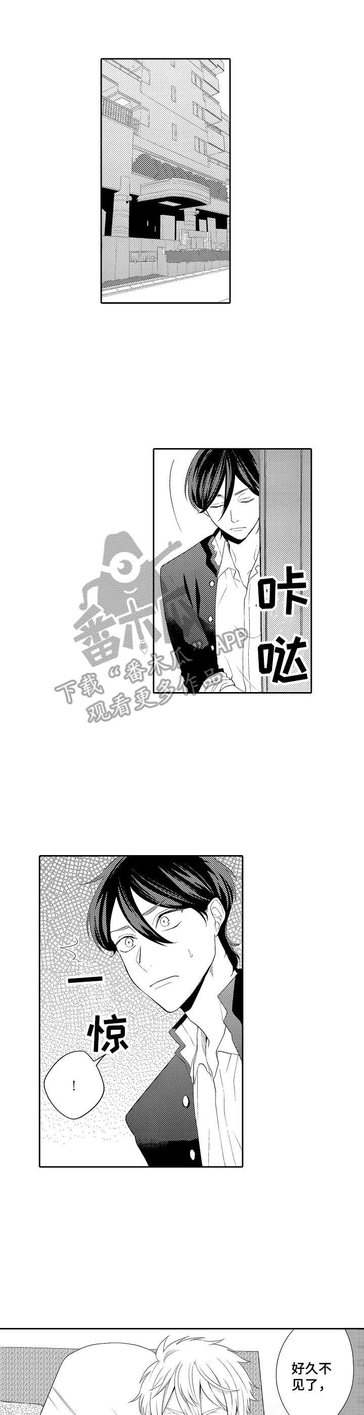 第13章：主动2