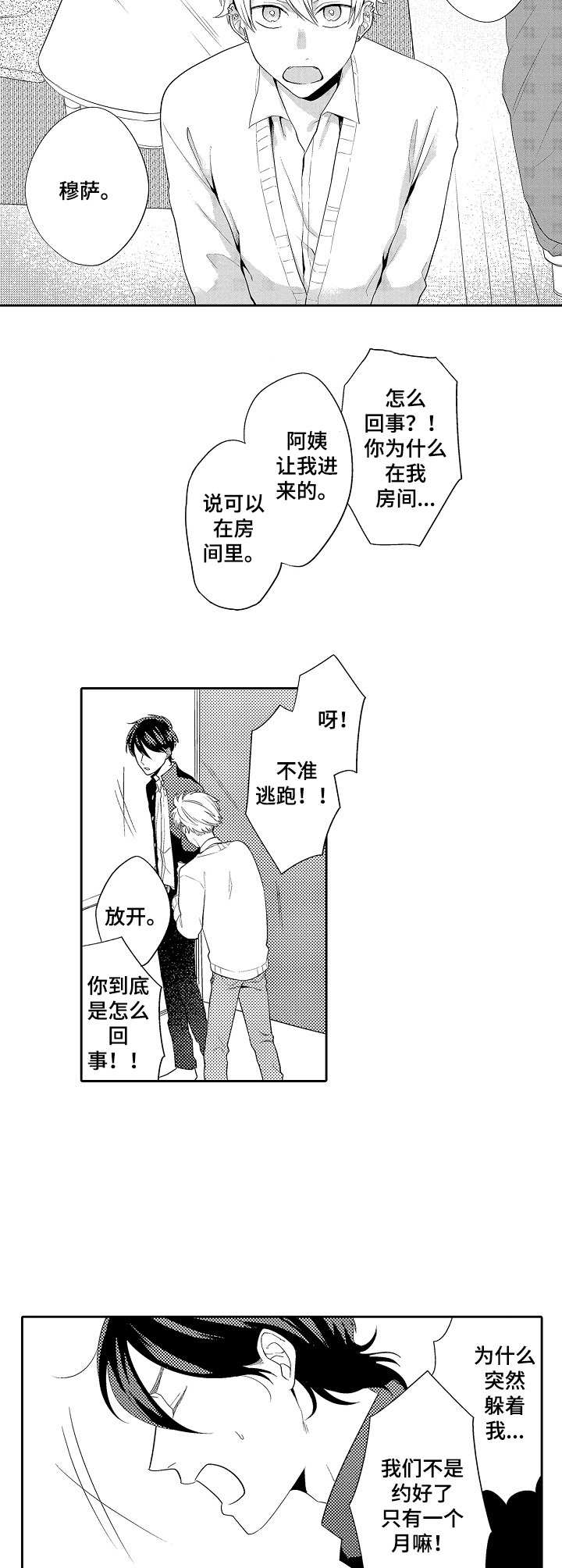 第13章：主动3