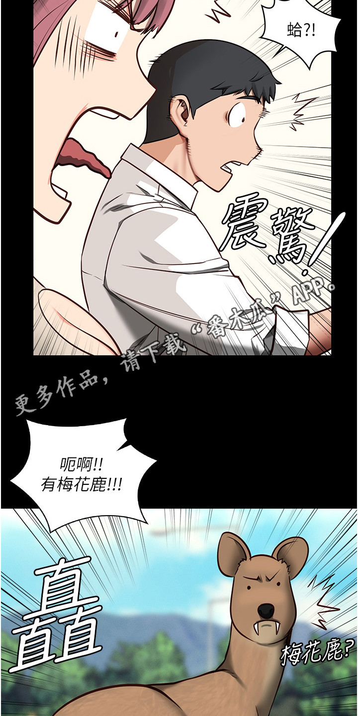 第13章：小鹿乱撞4