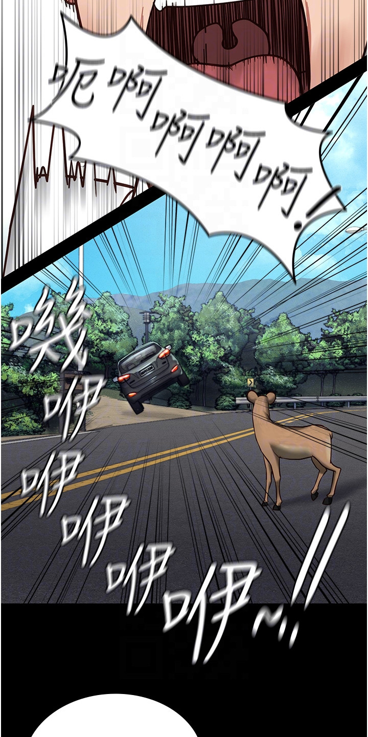 第13章：小鹿乱撞6