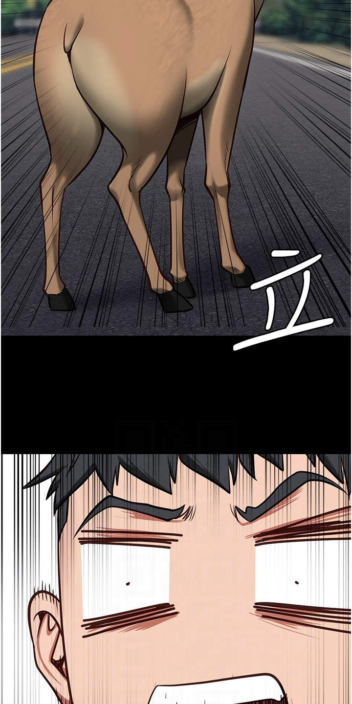 第13章：小鹿乱撞5