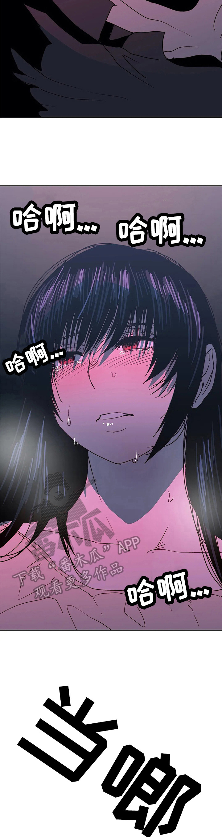 第66章：失望2