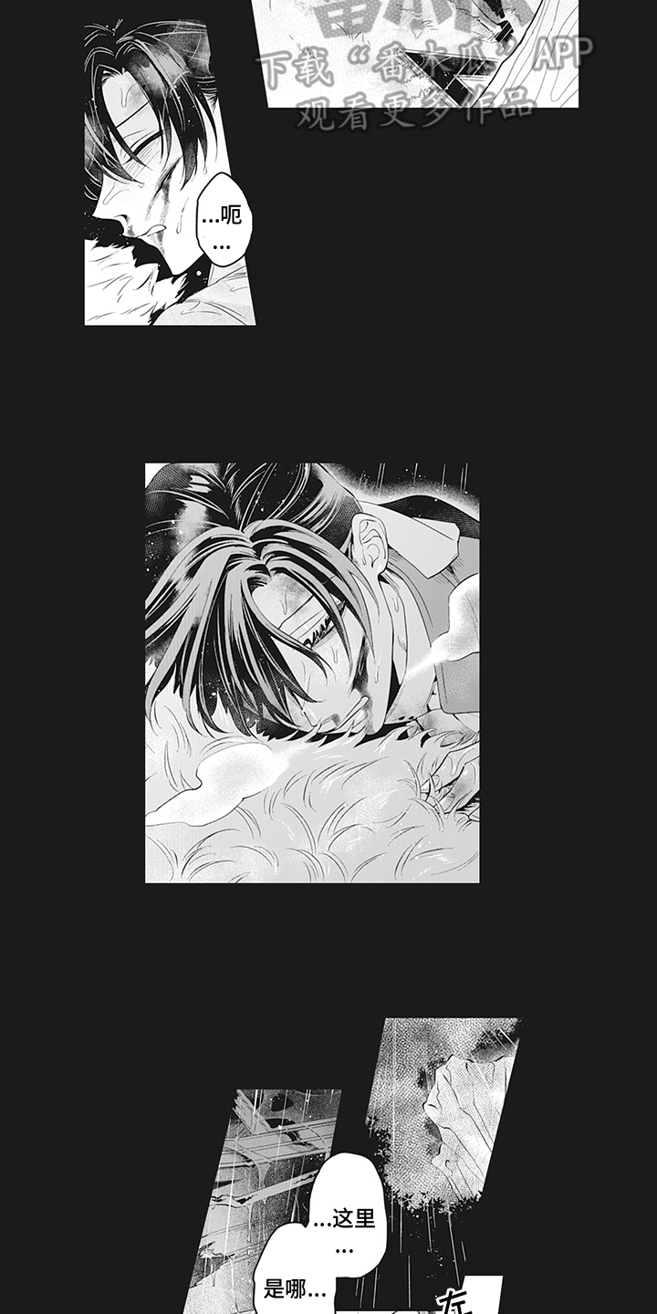 第22章：遇袭9