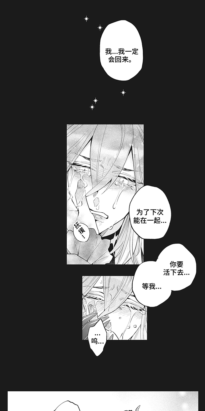 第24章：分离10