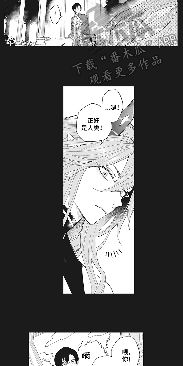 第16章：萌新恶魔11