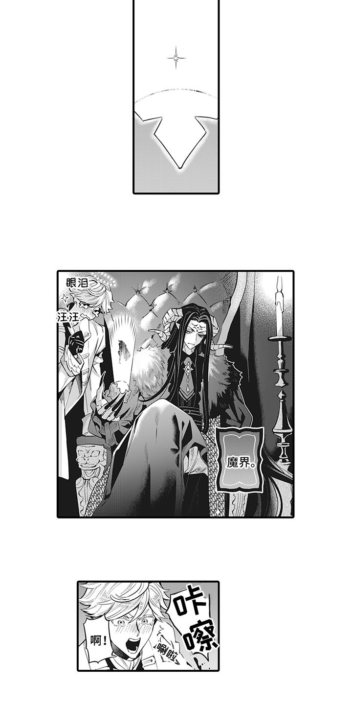 第25章：天使之心7