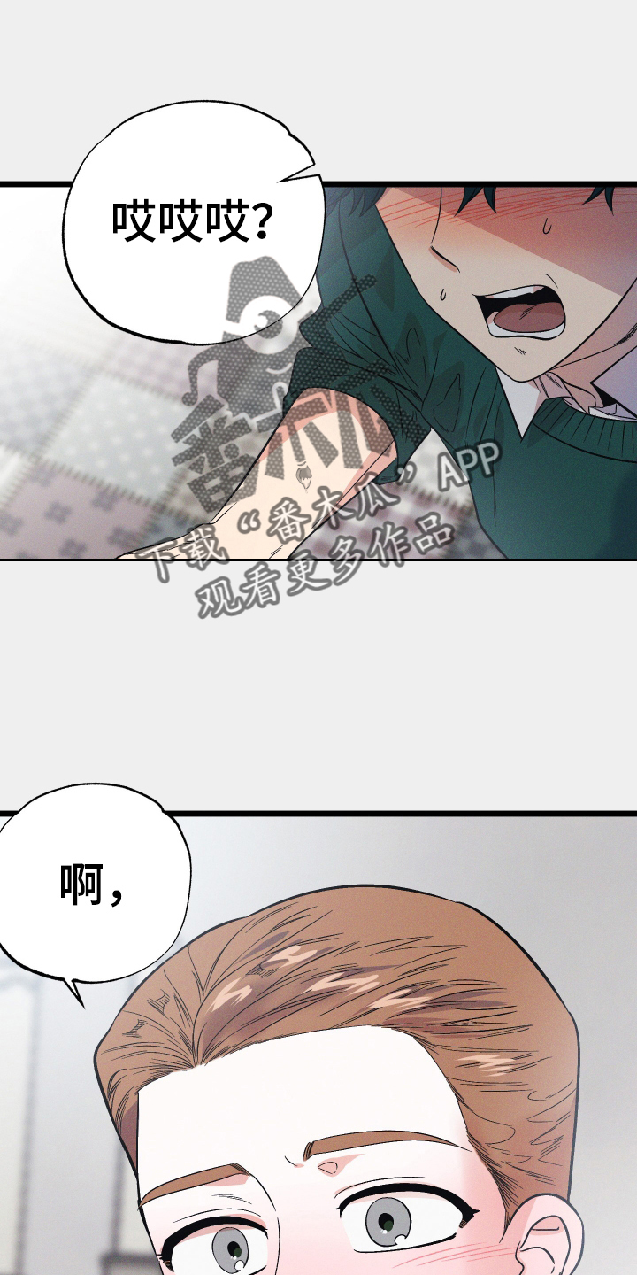 第37章：发现17