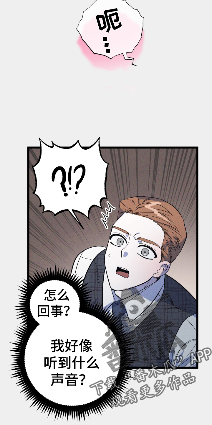 第37章：发现11