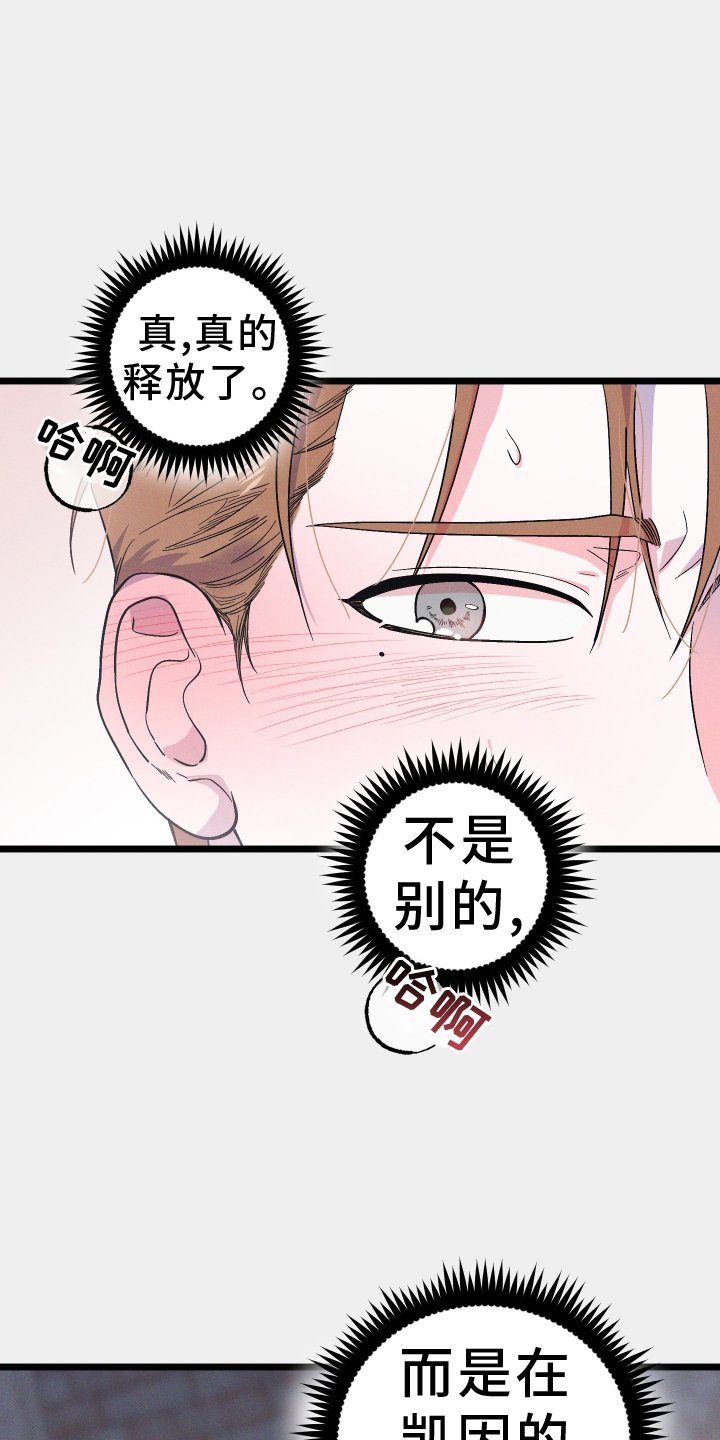第50章：突破16