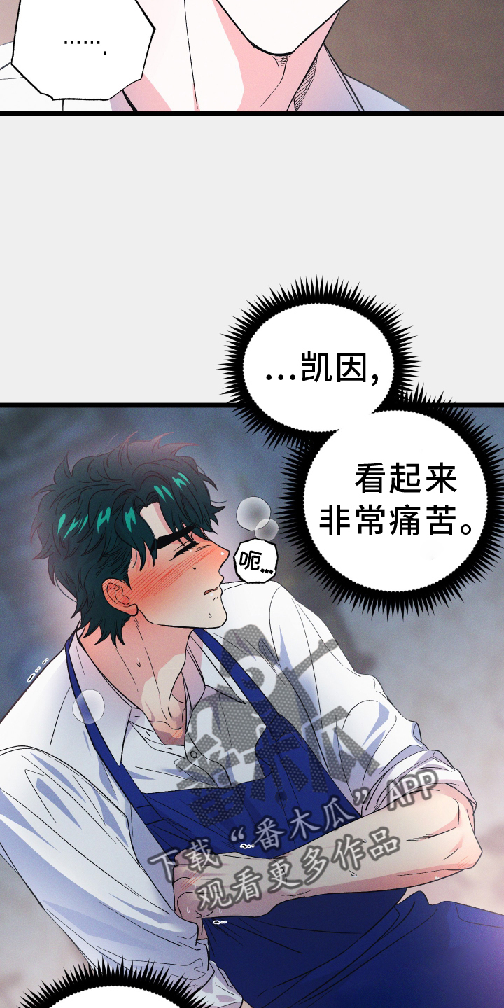 第50章：突破19