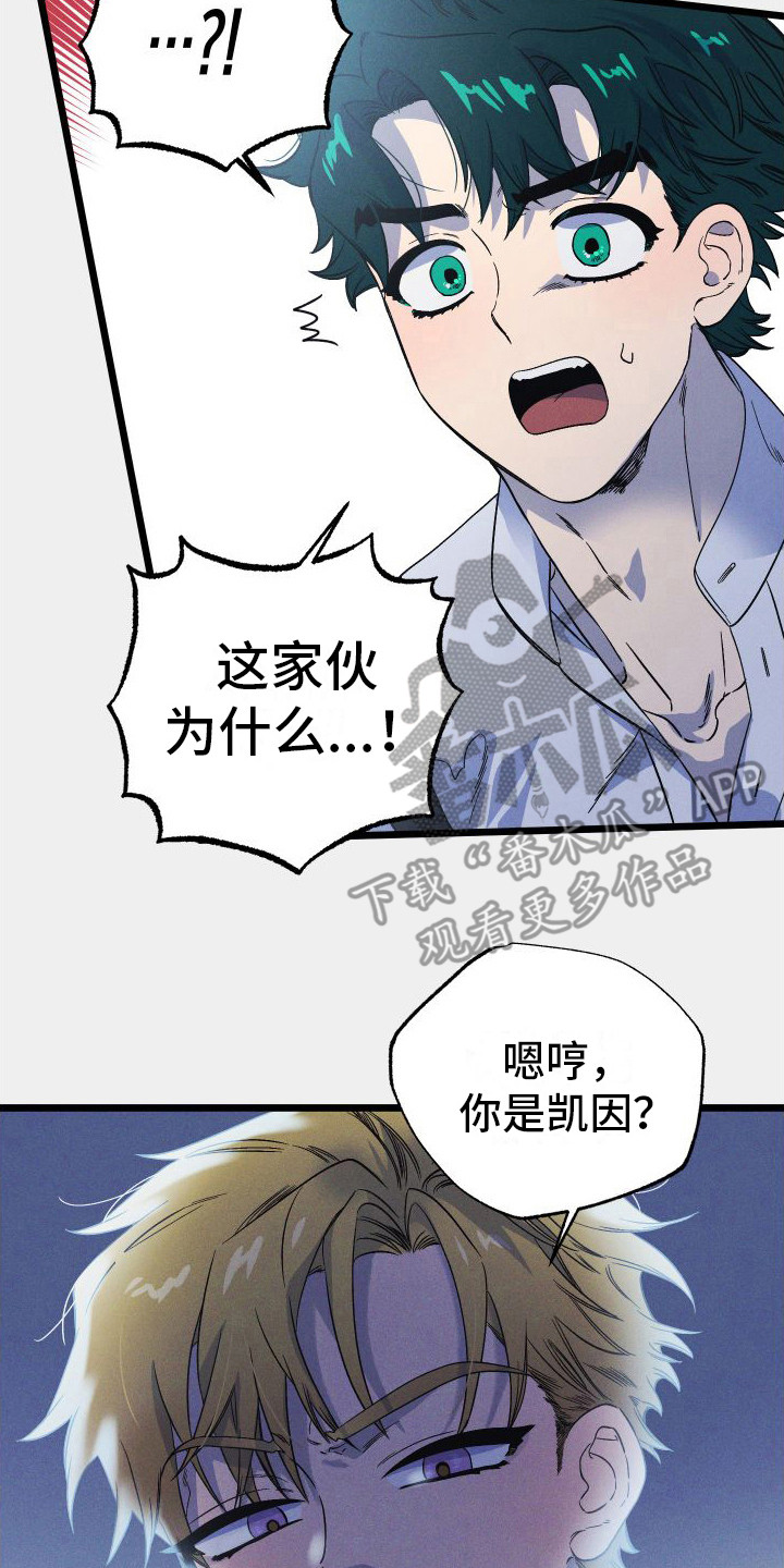 第15章：最大的问题1