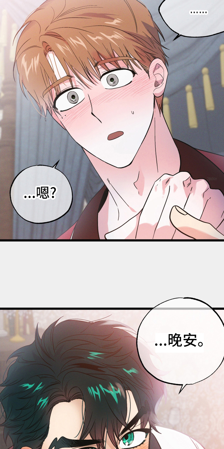 第46章：晚安15