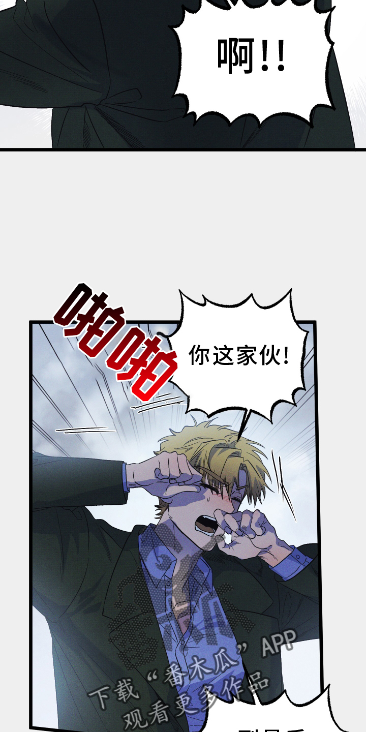 第20章：成功17
