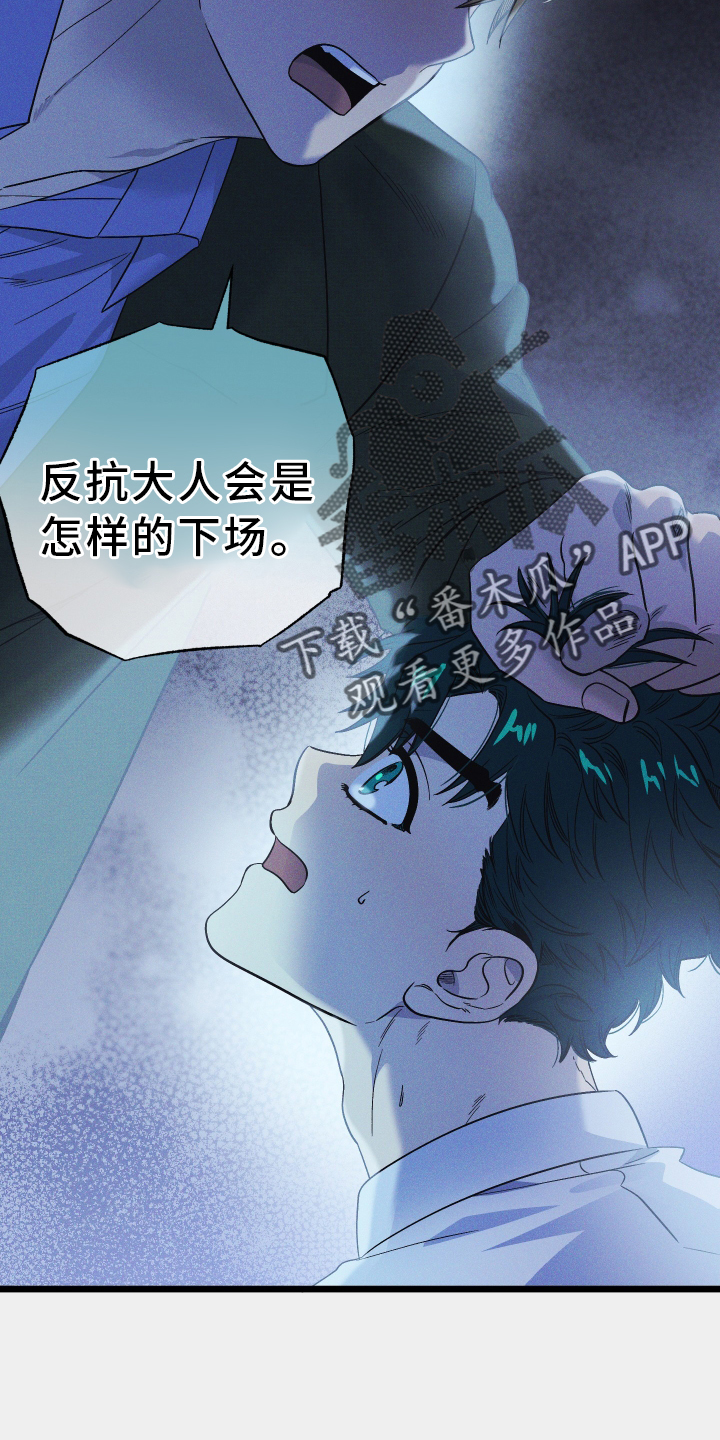 第20章：成功7