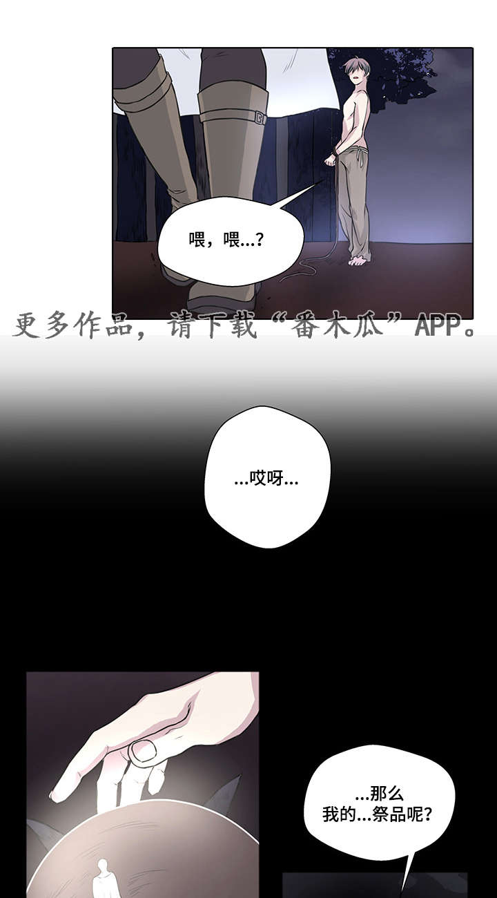 第11章：良心发现1