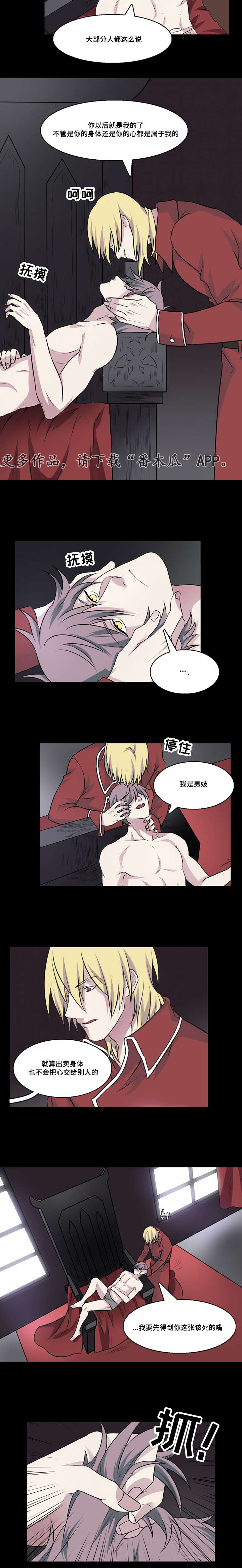 第27章：我是男妓1