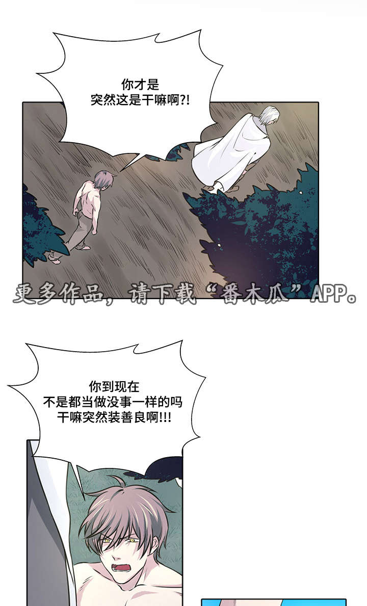 第11章：良心发现3