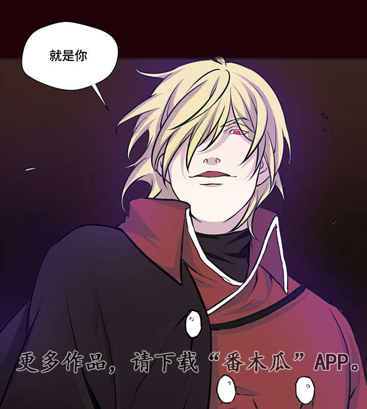 第11章：良心发现7
