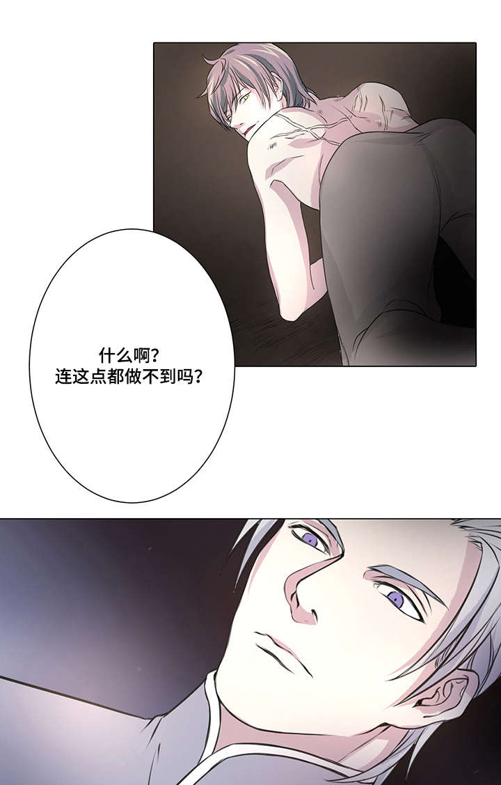 第5章：我的国王0