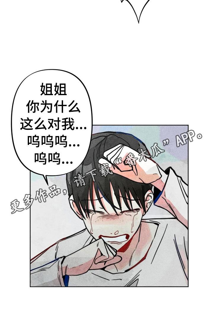 第29章：冲动11