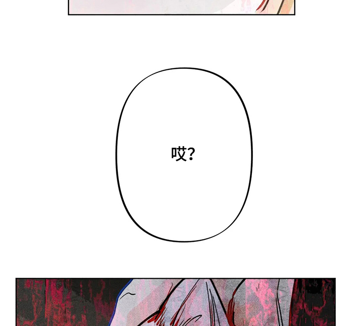 第46章：攻击性6