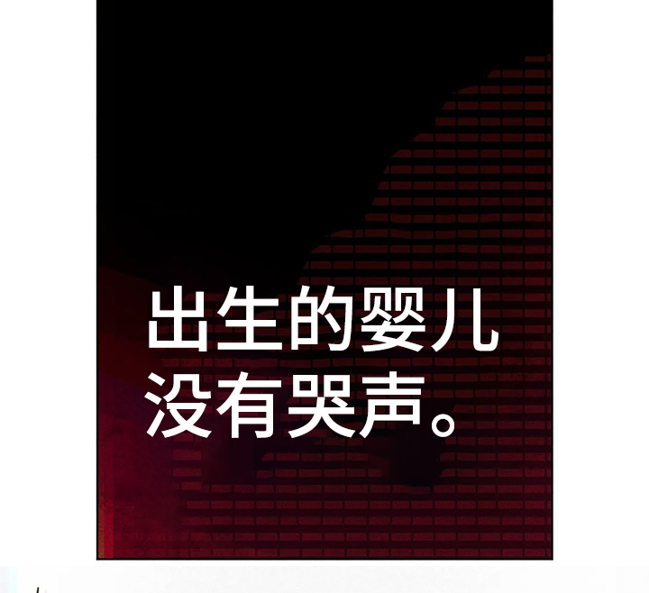 第67章：接连出事14