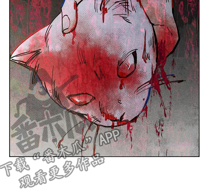 第46章：攻击性7