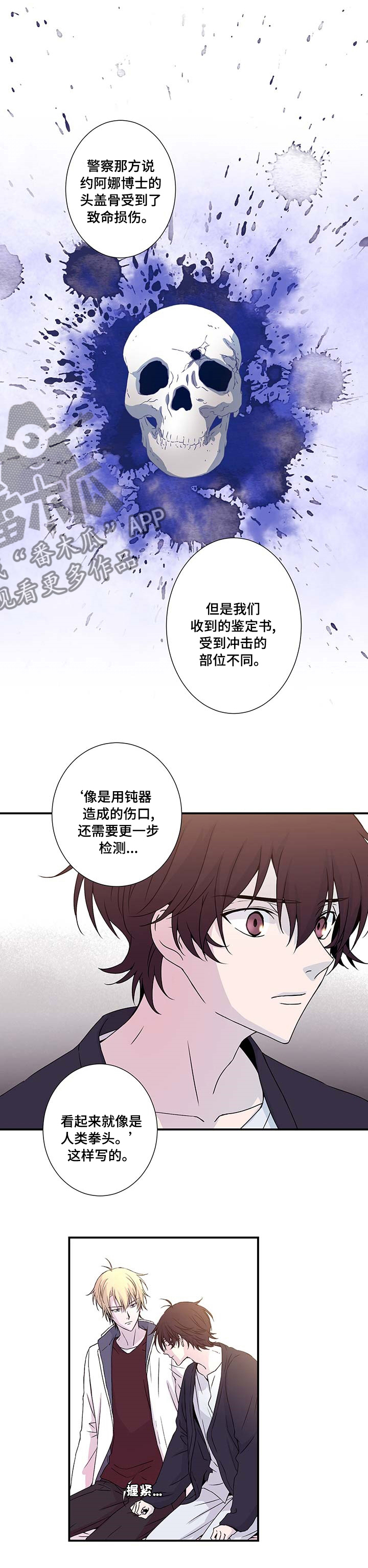 第13章：两份鉴定书3