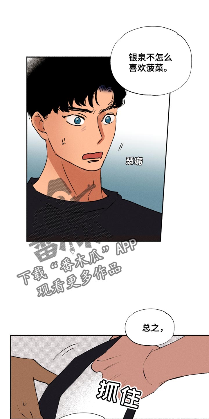 第30章：积极的信号15
