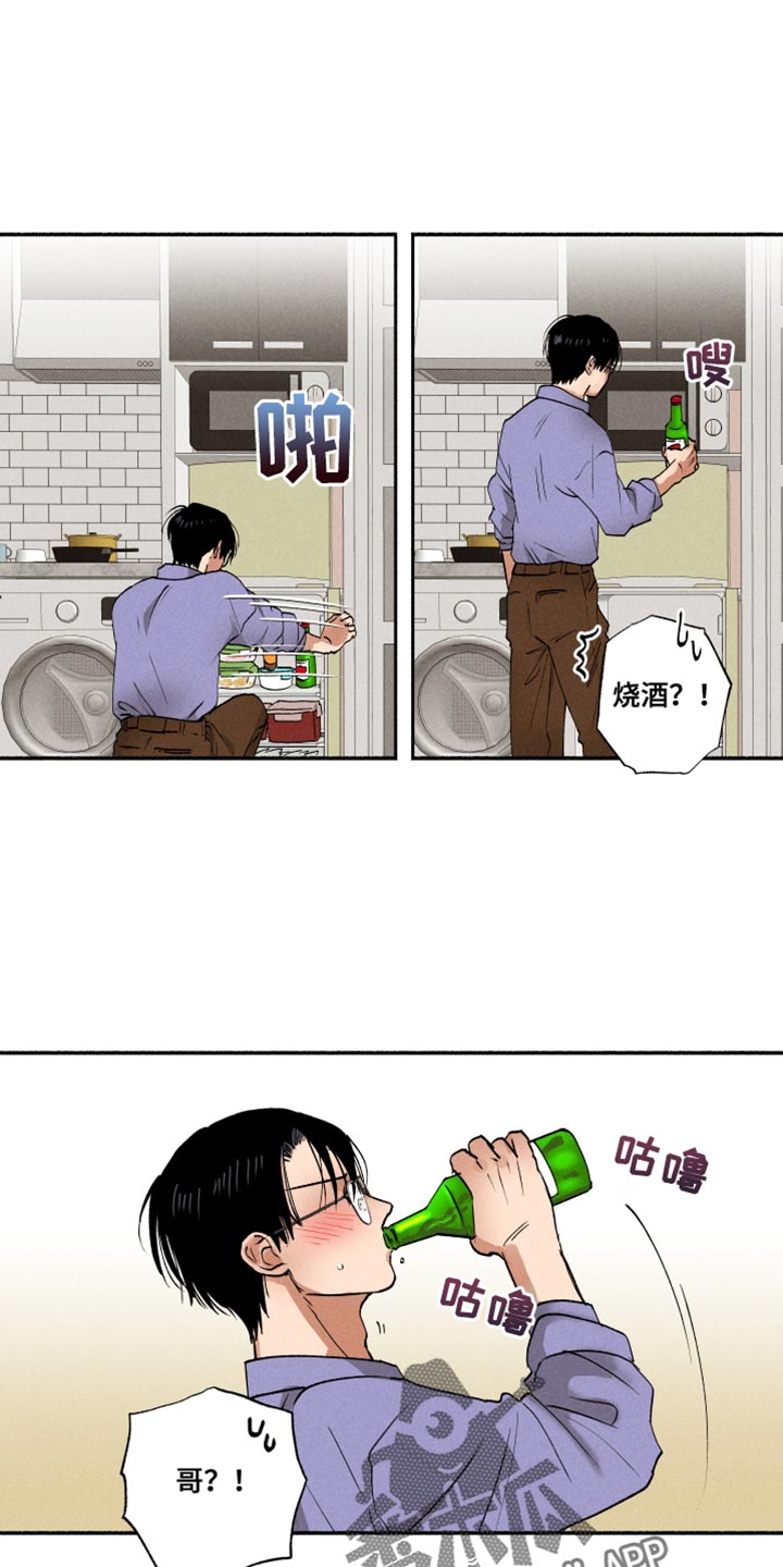第19章：不在计划之中7