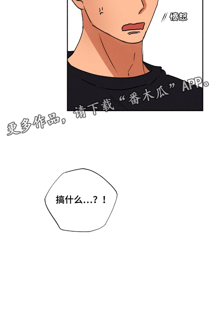 第30章：积极的信号17