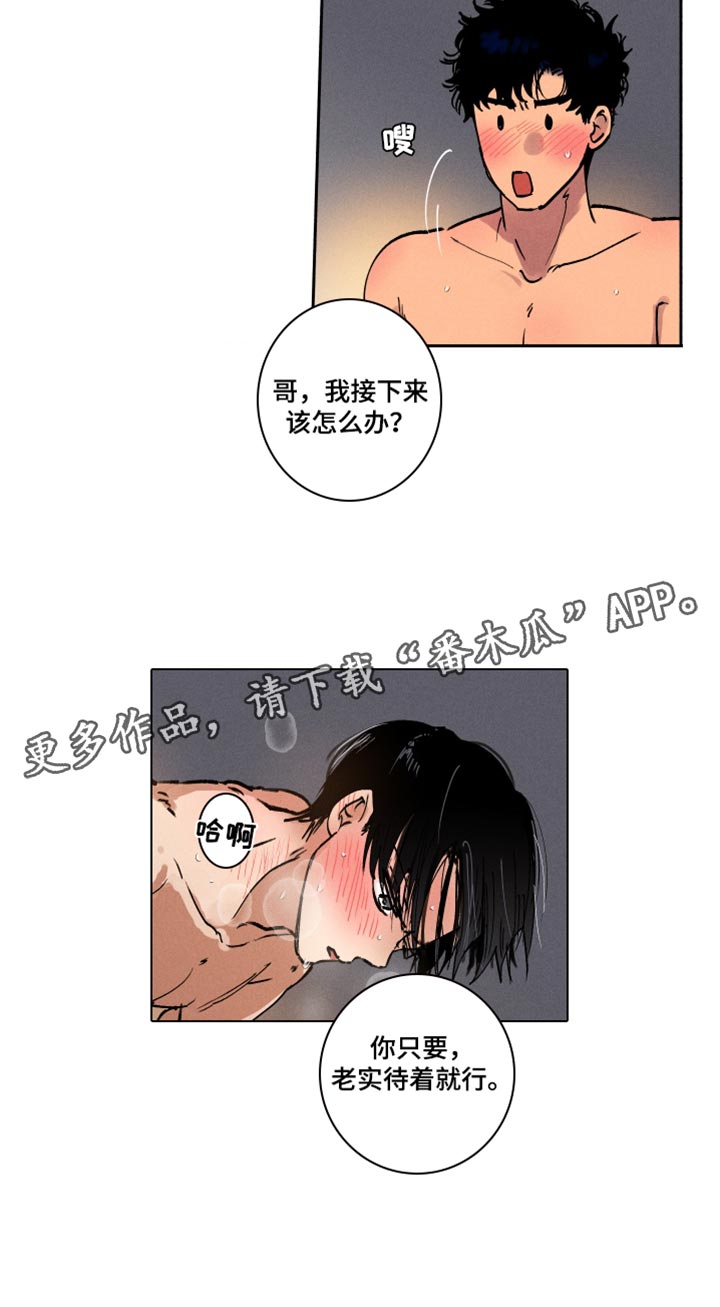 第19章：不在计划之中21