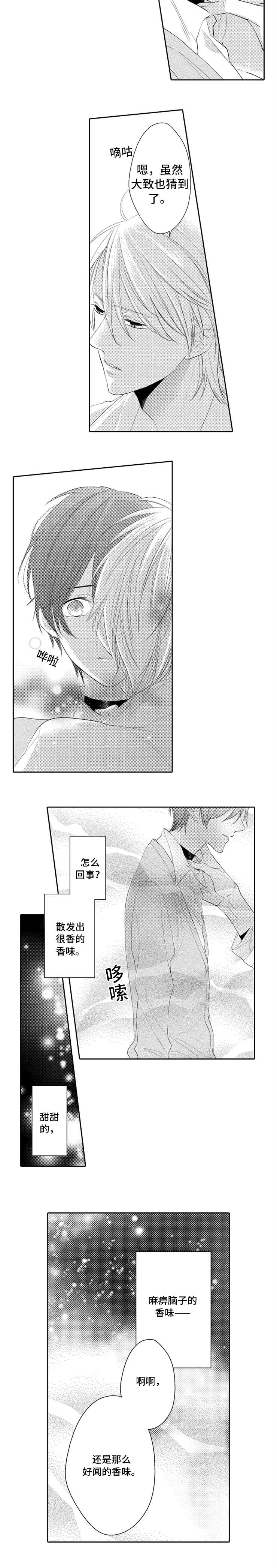 第5章：不需要1