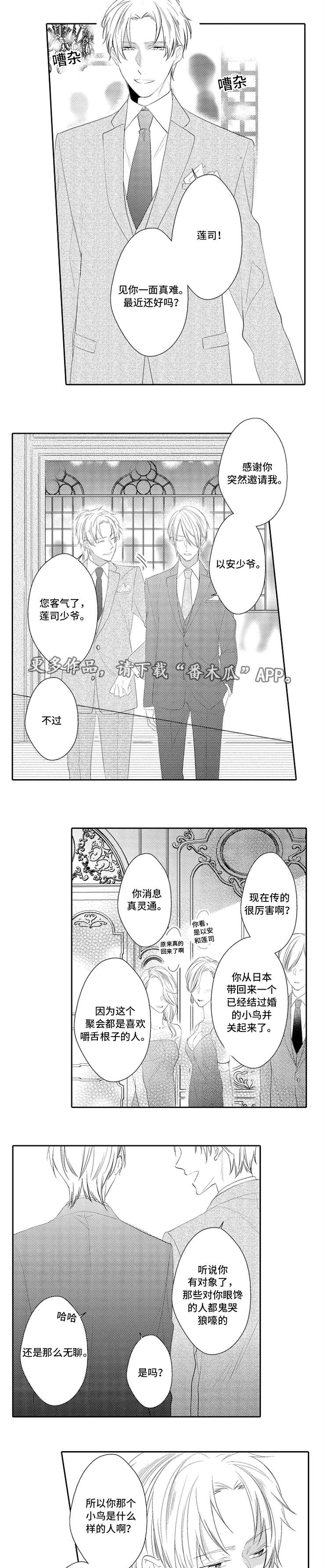 第31章：完结4