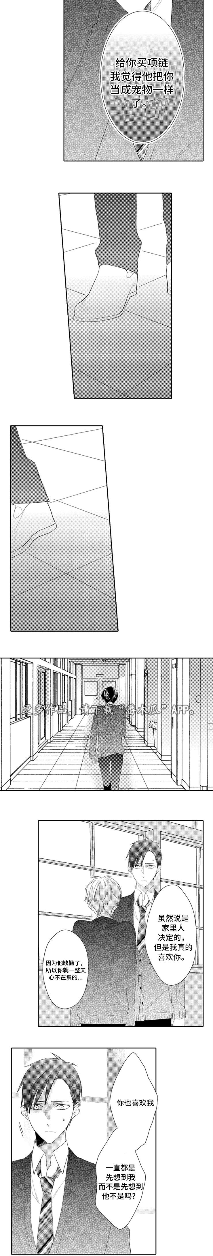 第11章：宠物6