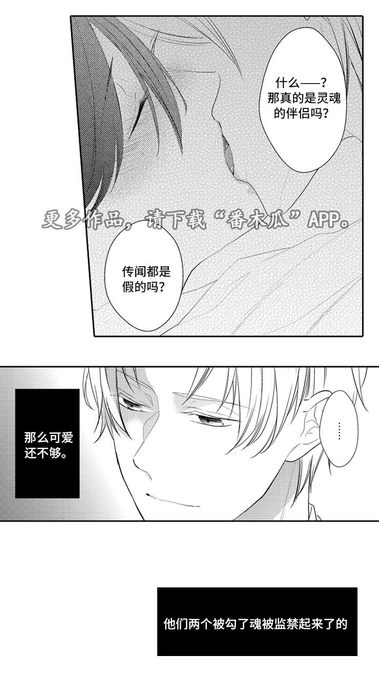 第31章：完结10