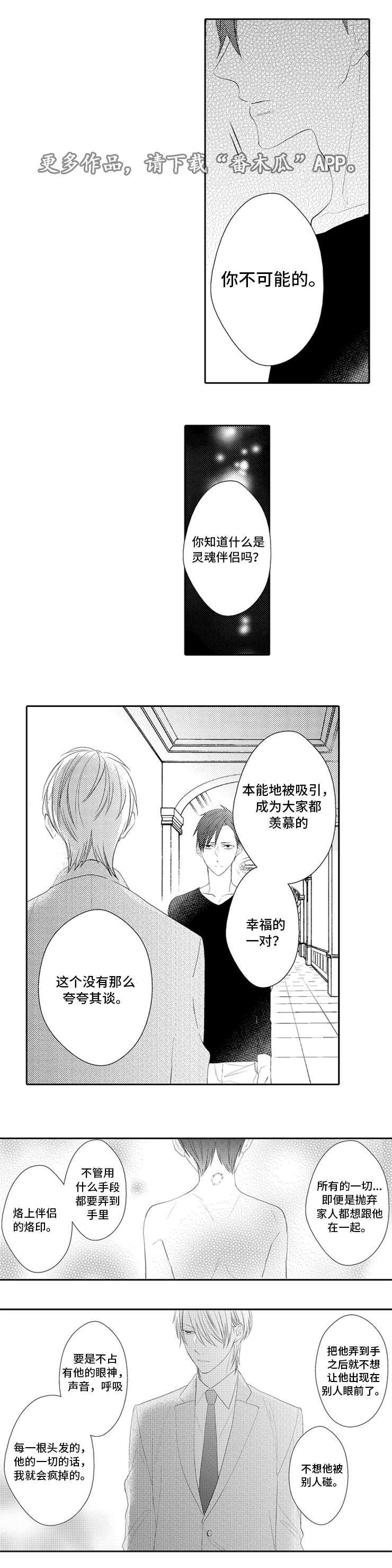 第30章：灵魂伴侣7