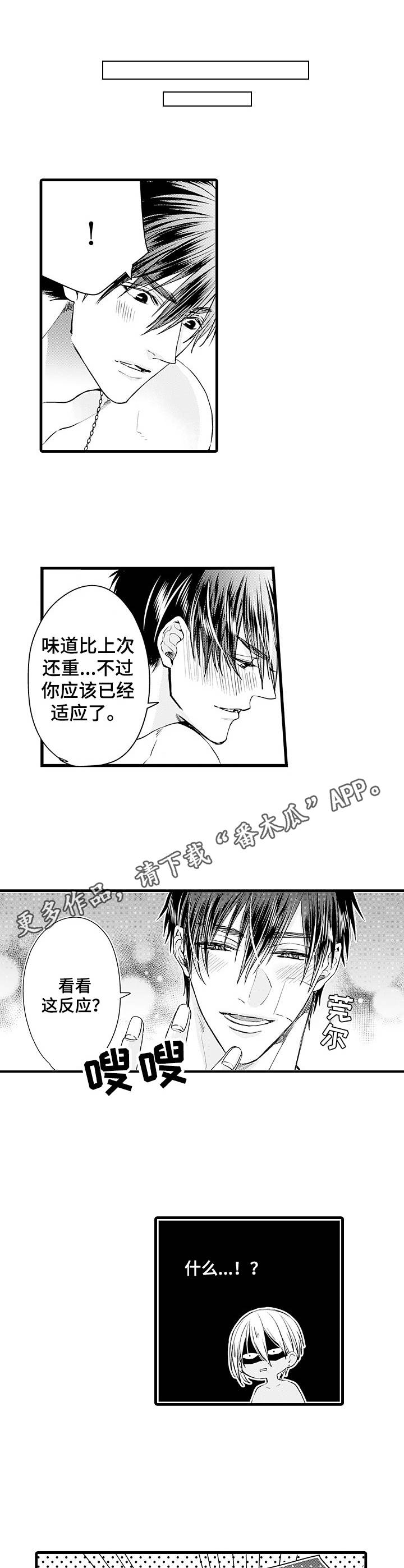 第5章：命定的伴侣8