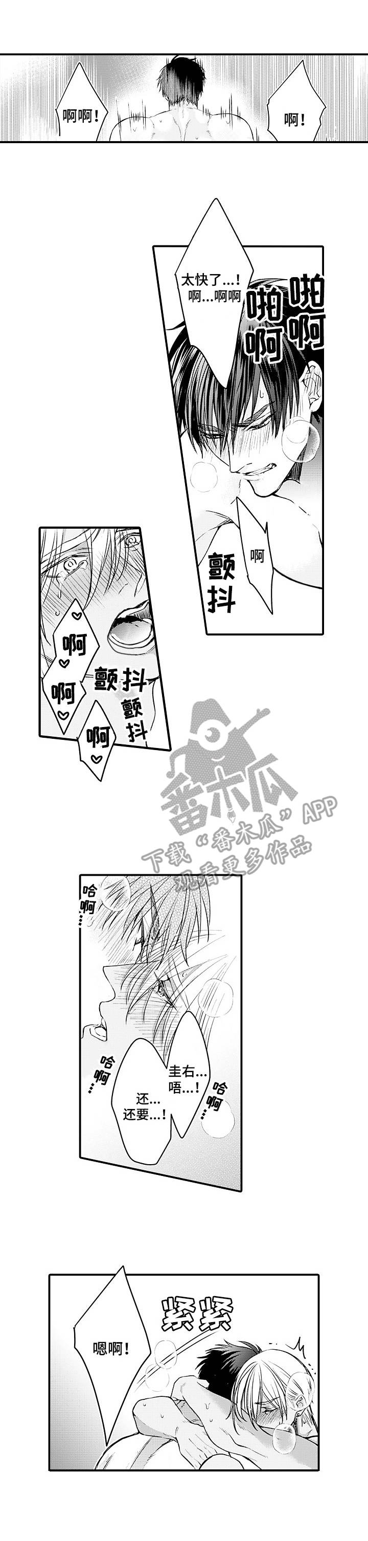 第24章：伴侣0