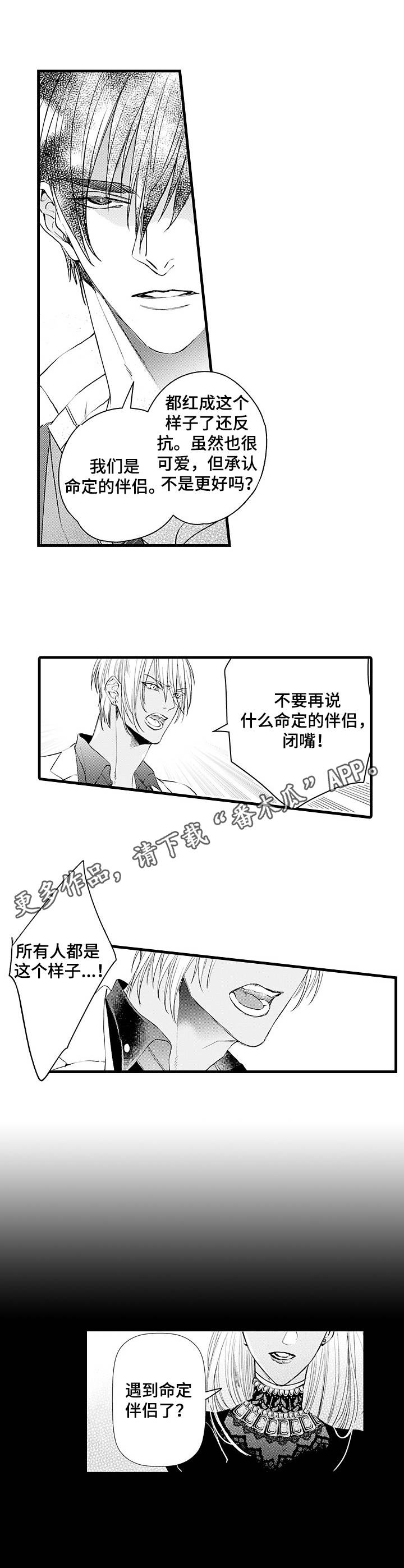 第5章：命定的伴侣5