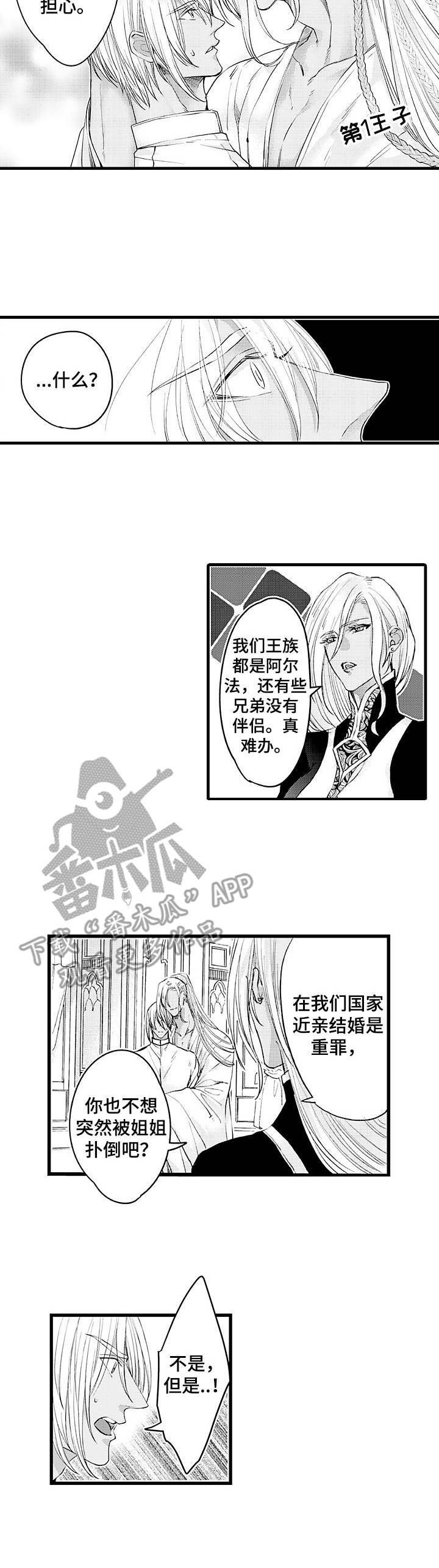 第16章：王族7