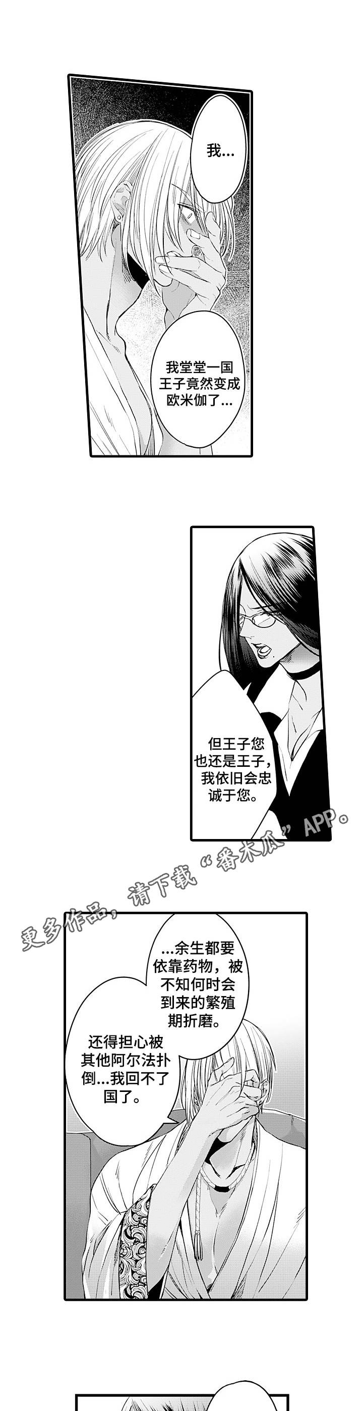 第12章：诊察结果9