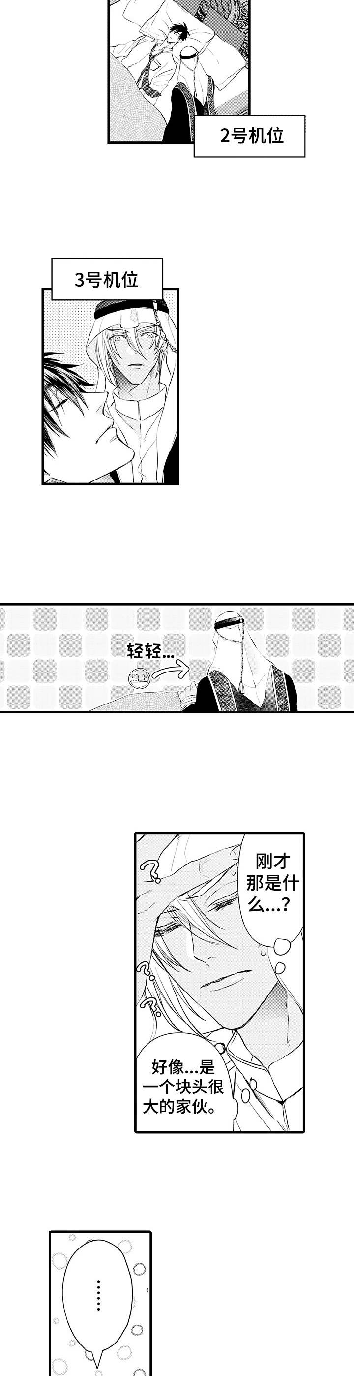 第1章：大块头7
