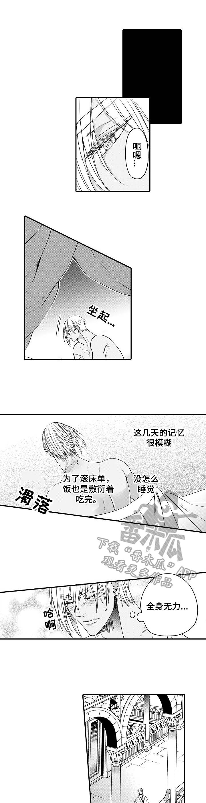 第24章：伴侣6