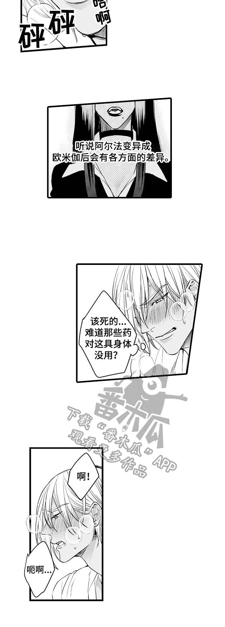 第15章：差异6