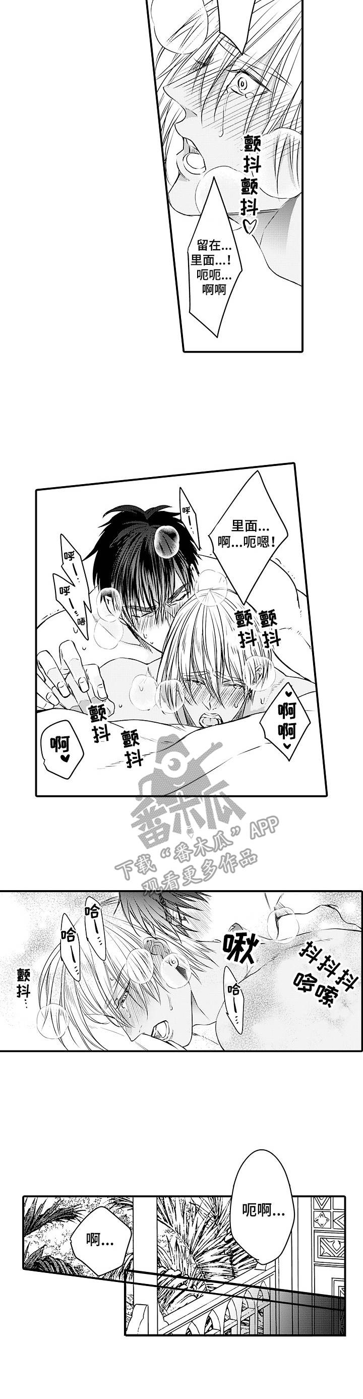 第24章：伴侣5