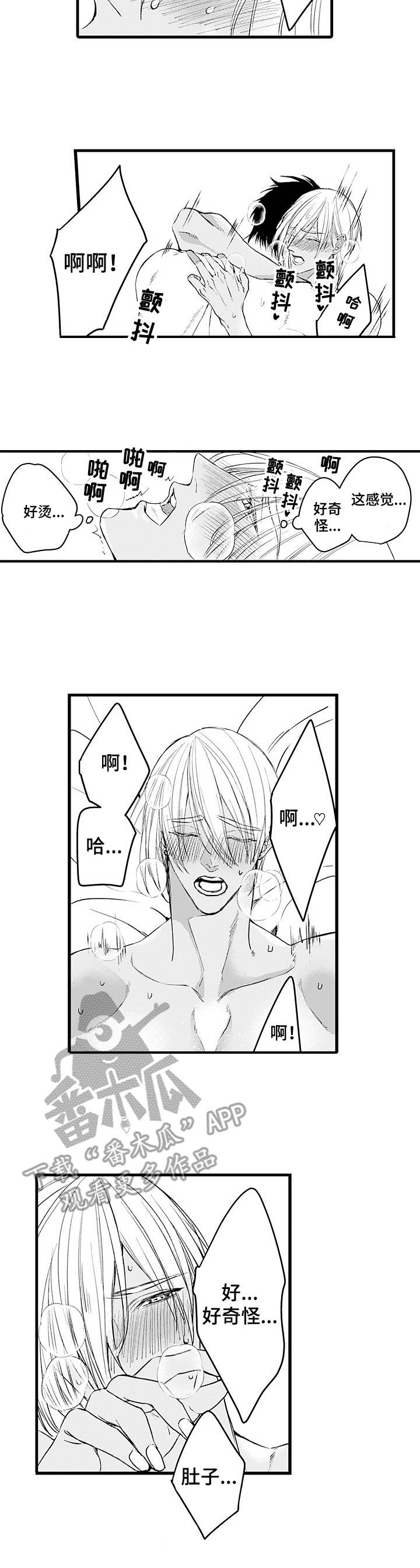 第21章：最后一步5