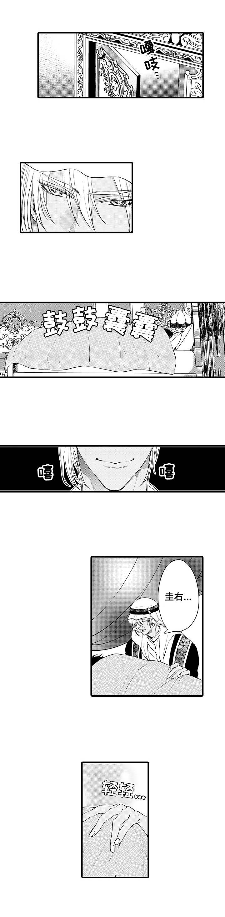 第1章：大块头5