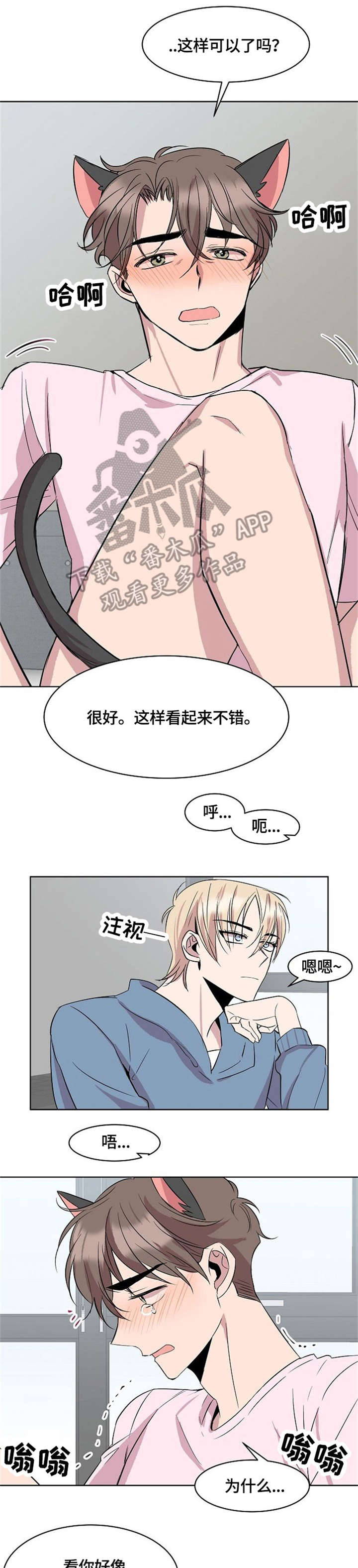 第15章：猫耳6